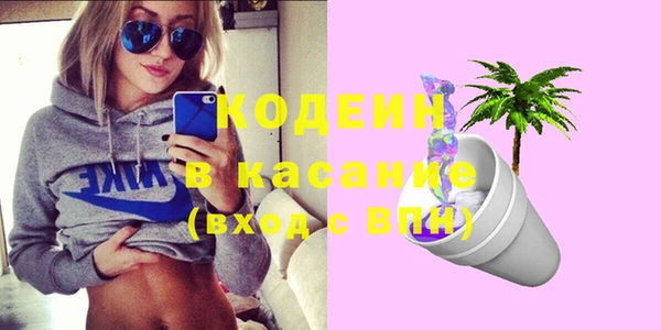 шишки Заволжск