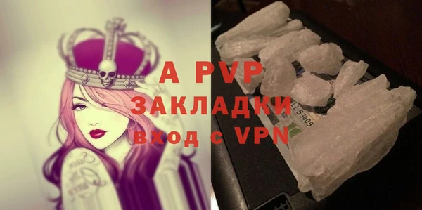 шишки Заволжск