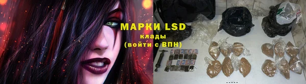 шишки Заволжск