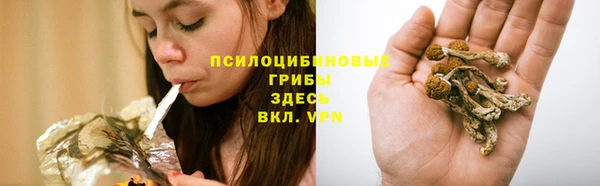 шишки Заволжск