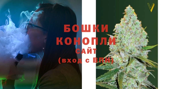 шишки Заволжск