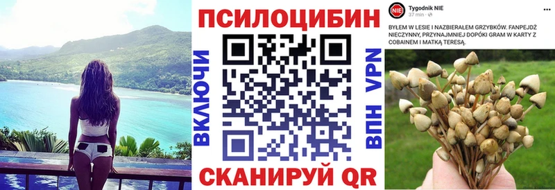 Купить закладки  Губкинский  Галлюциногенные грибы GOLDEN TEACHER 
